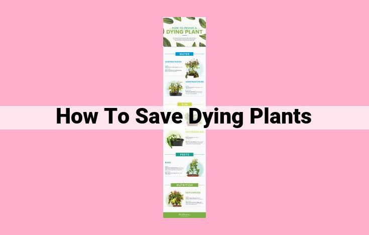 how to save dying plants