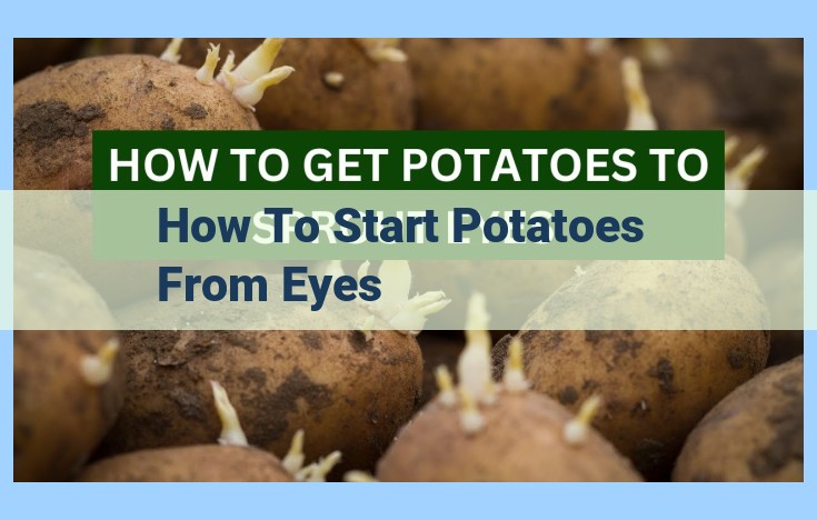 how to start potatoes from eyes