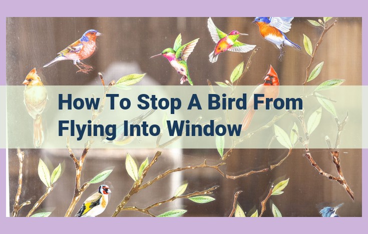 how to stop a bird from flying into window