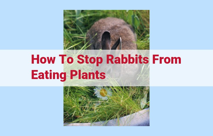 how to stop rabbits from eating plants