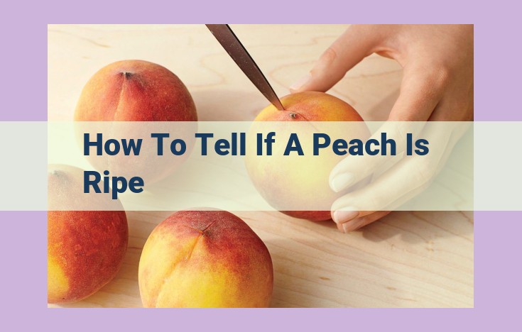 how to tell if a peach is ripe