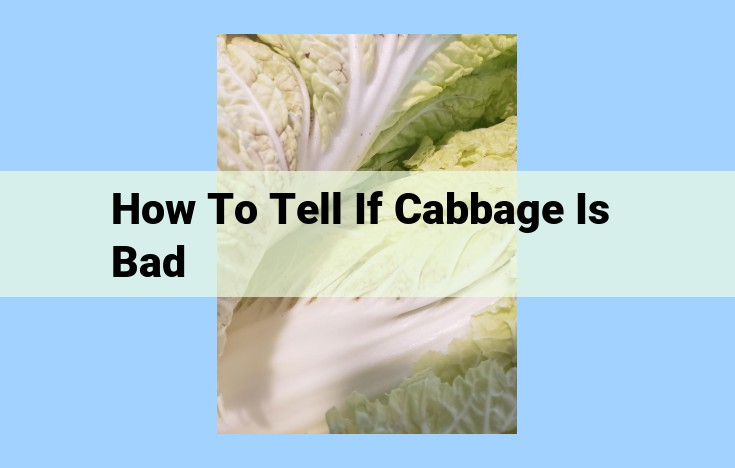 how to tell if cabbage is bad