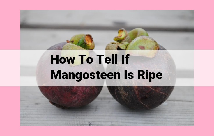 how to tell if mangosteen is ripe