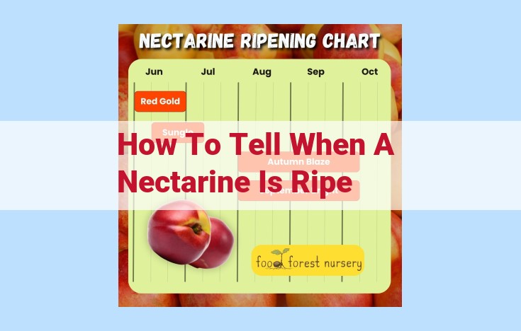 how to tell when a nectarine is ripe