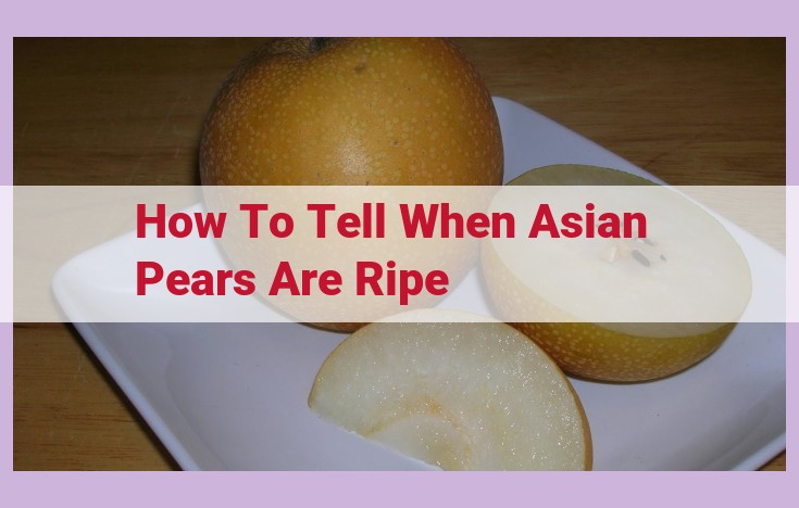 how to tell when asian pears are ripe