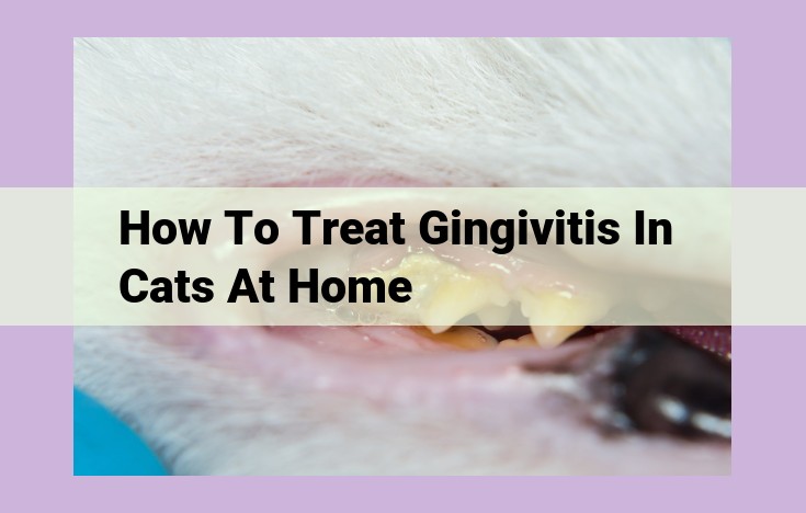 how to treat gingivitis in cats at home