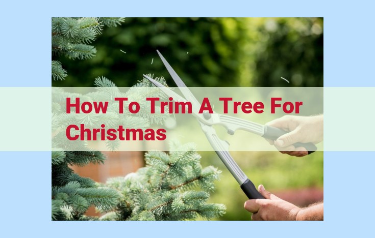 how to trim a tree for christmas