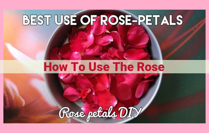 how to use the rose