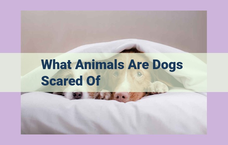 what animals are dogs scared of