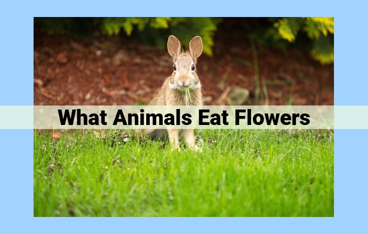 what animals eat flowers