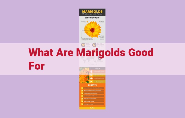 what are marigolds good for