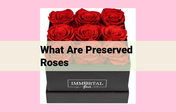 what are preserved roses