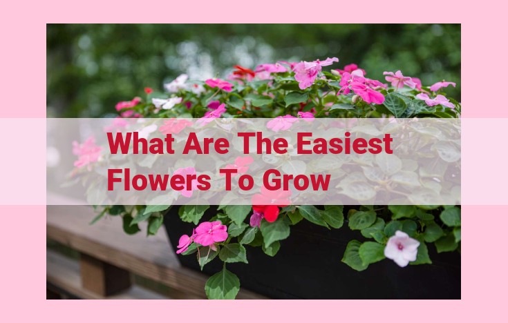 what are the easiest flowers to grow