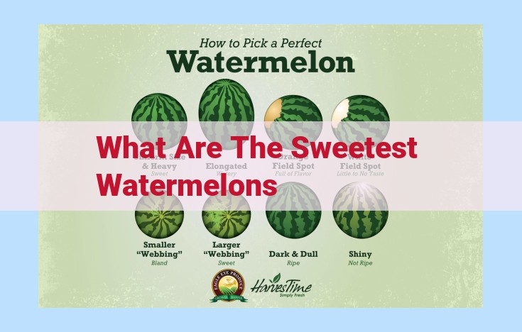 what are the sweetest watermelons