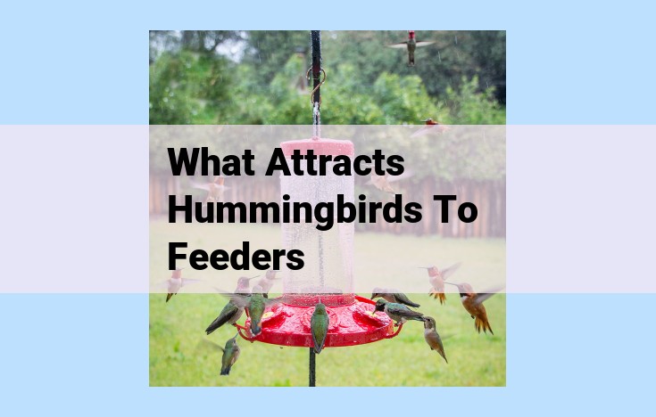 what attracts hummingbirds to feeders