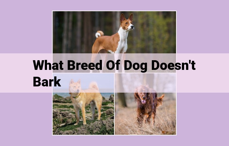 what breed of dog doesn't bark