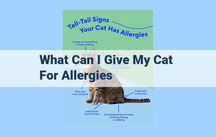 what can i give my cat for allergies