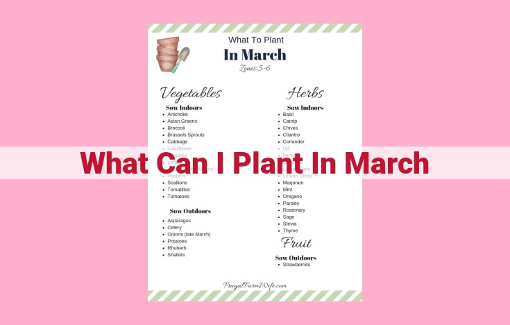 what can i plant in march