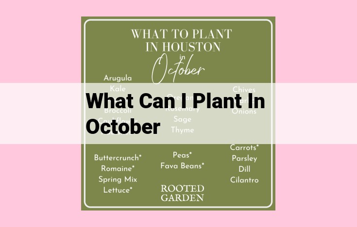 what can i plant in october