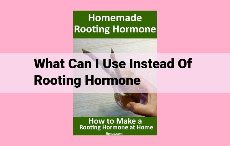 what can i use instead of rooting hormone