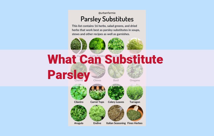 what can substitute parsley