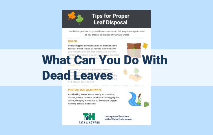 what can you do with dead leaves