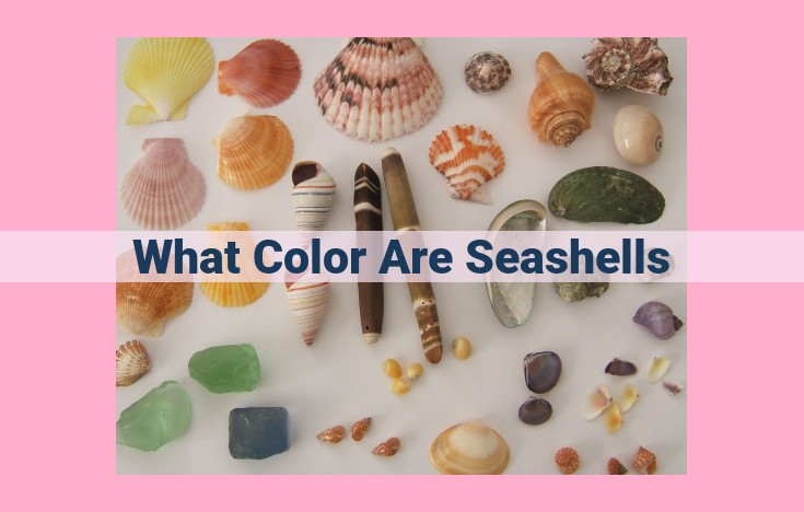 what color are seashells