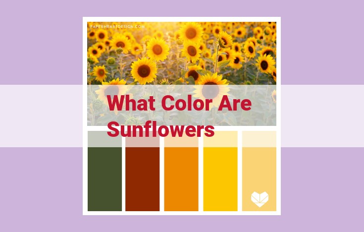 what color are sunflowers