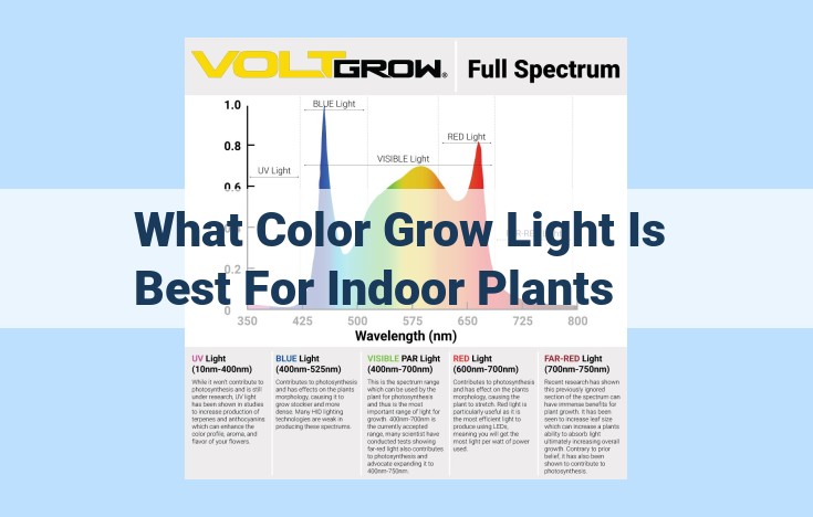 what color grow light is best for indoor plants