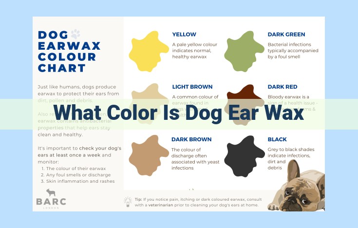 what color is dog ear wax