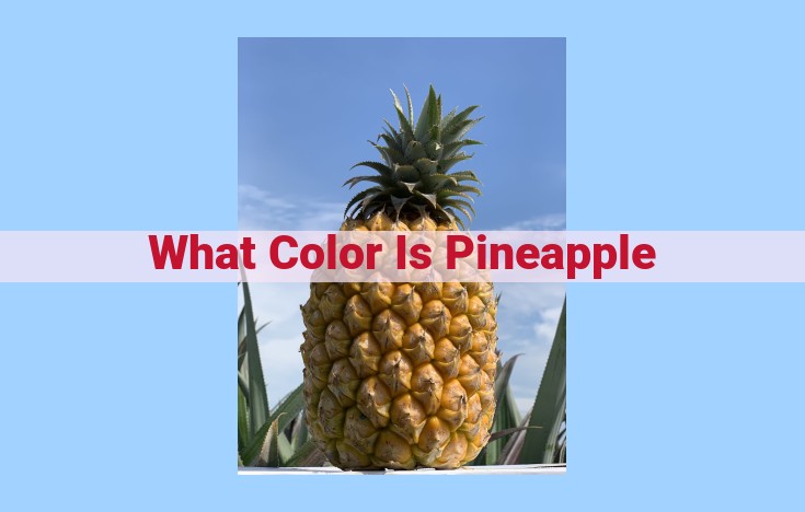 what color is pineapple