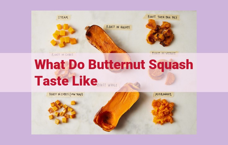 what do butternut squash taste like