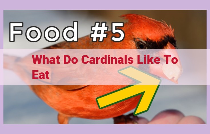 what do cardinals like to eat