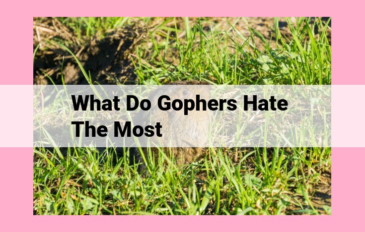 what do gophers hate the most