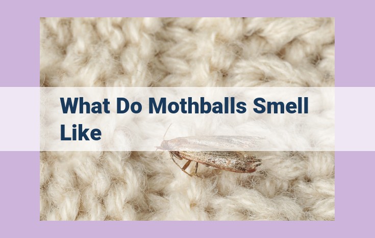 what do mothballs smell like