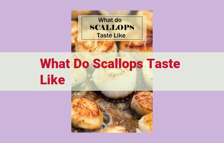 what do scallops taste like