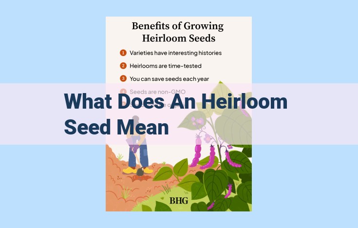 what does an heirloom seed mean