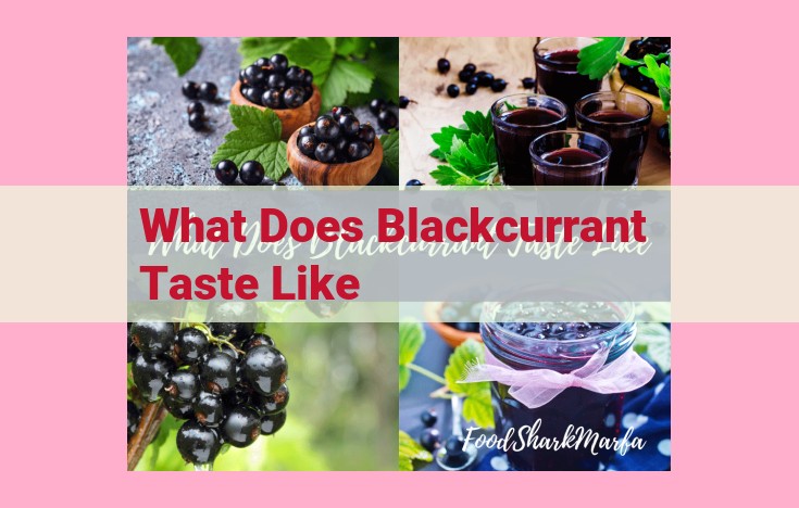 what does blackcurrant taste like