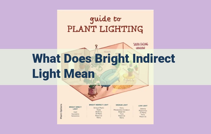 what does bright indirect light mean