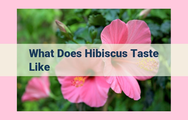 what does hibiscus taste like