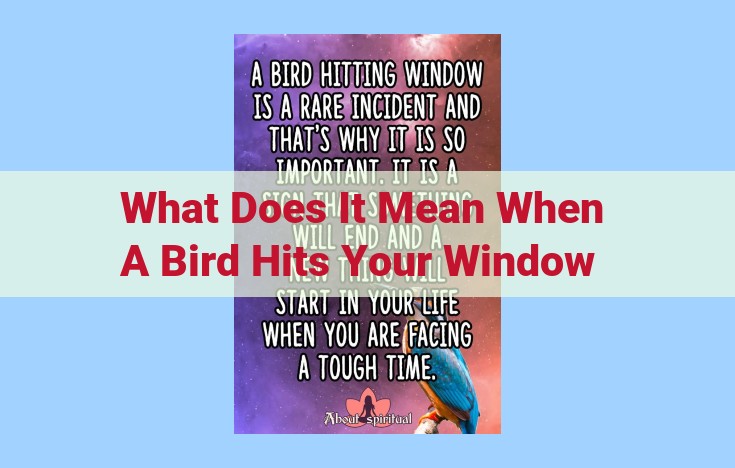 what does it mean when a bird hits your window