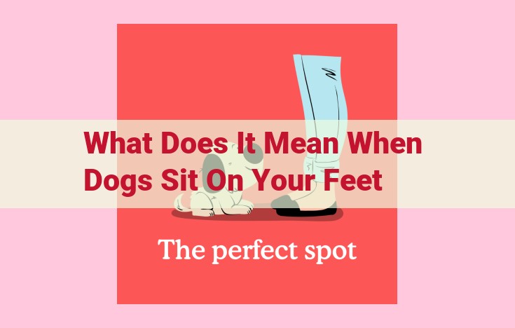 what does it mean when dogs sit on your feet