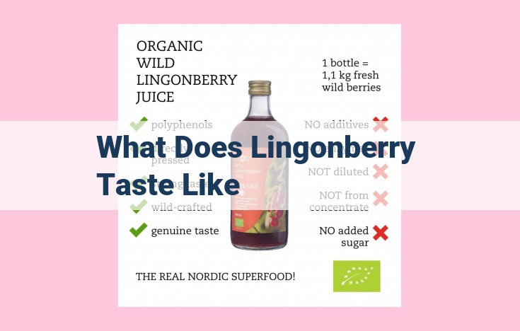 what does lingonberry taste like