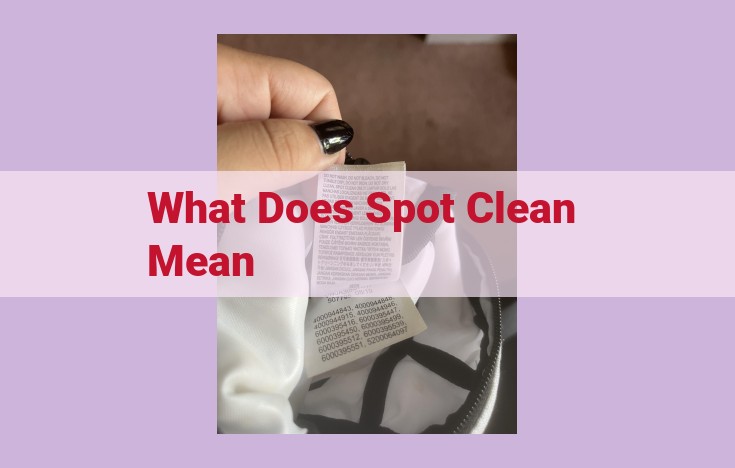 what does spot clean mean