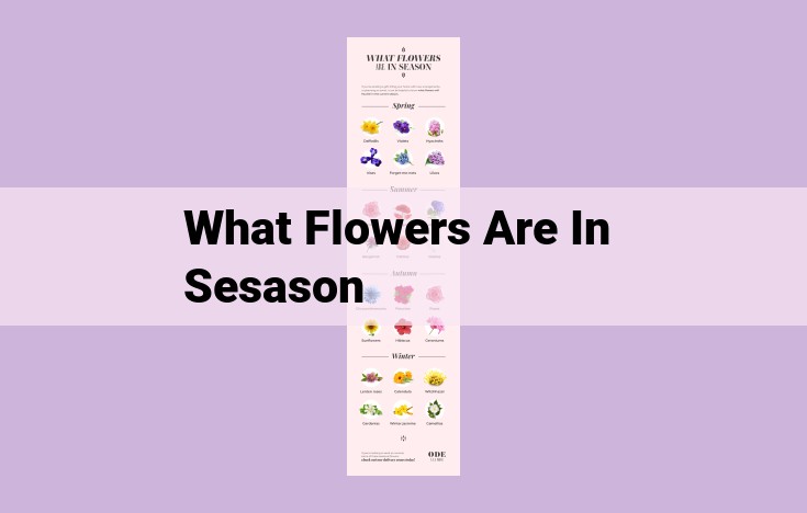 what flowers are in sesason