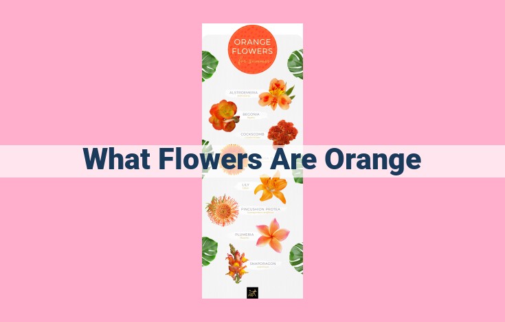 what flowers are orange