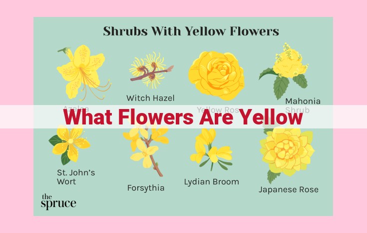 what flowers are yellow