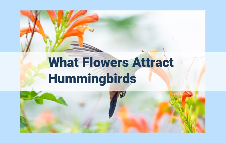 what flowers attract hummingbirds