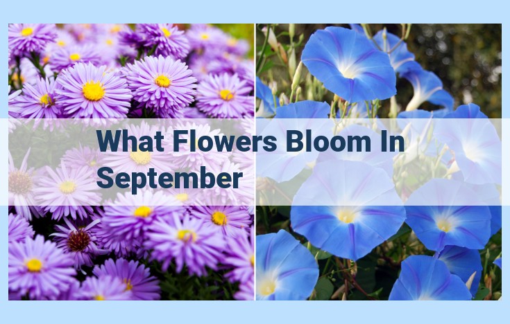 what flowers bloom in september