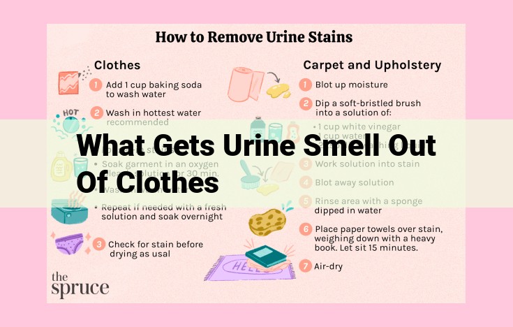 what gets urine smell out of clothes